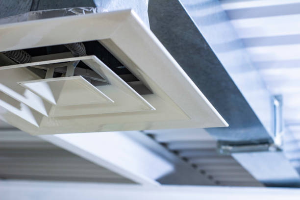 Best Air Duct Mold Removal  in Albany, WI