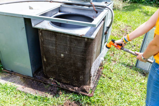 Best Air Vent Cleaning Services  in Albany, WI